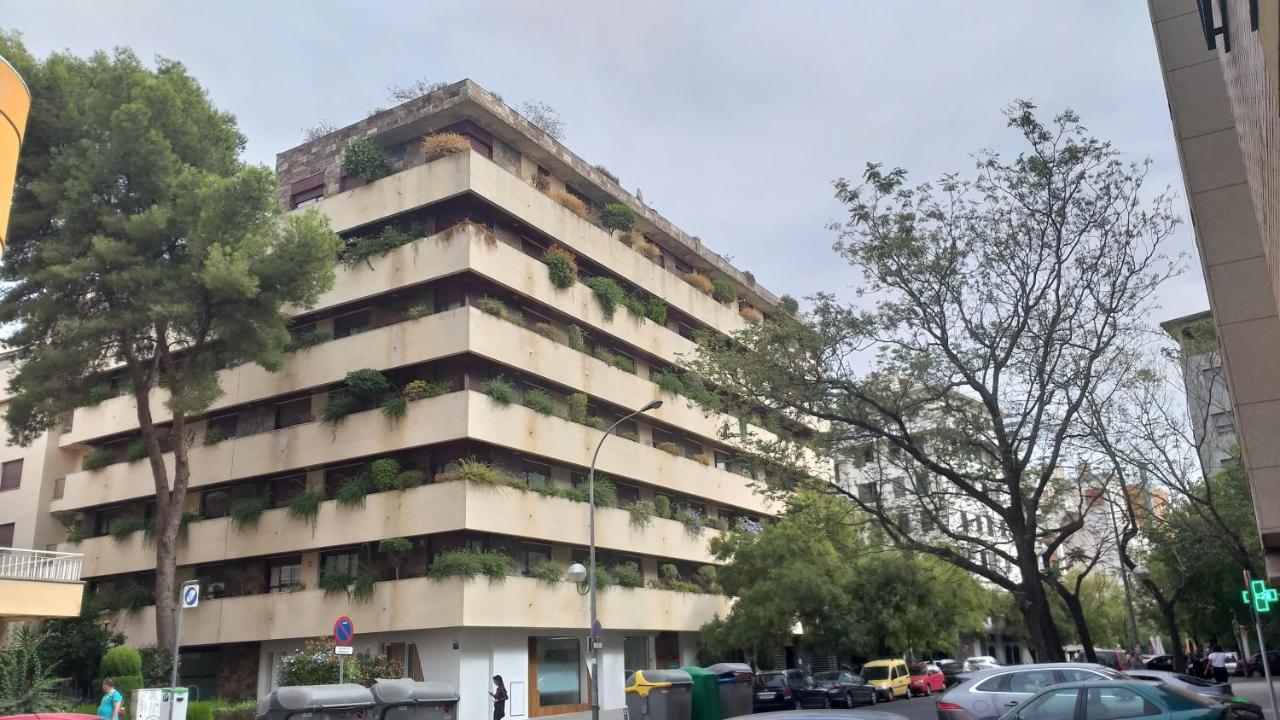 Buhaira Appartement